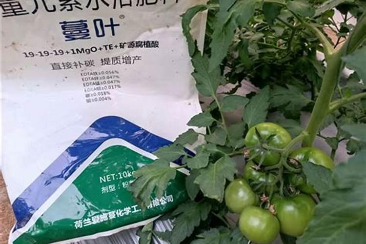 大量元素水溶肥料多少钱一要几天才能配土
