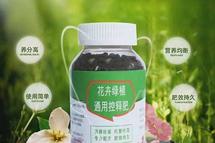 种玉米哪种化肥好？
