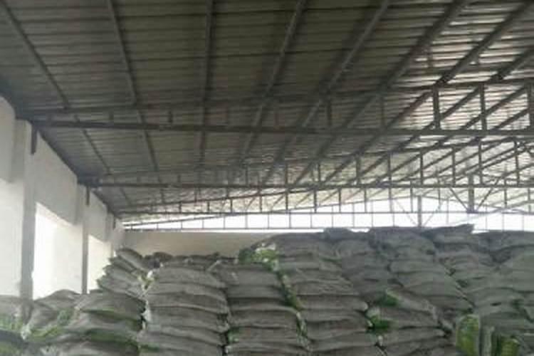 河南南阳宛城区种什么萝1品种