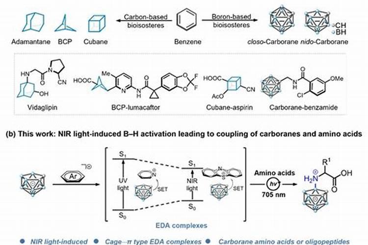 什么药可以养花不死  哪些药可以用来养花