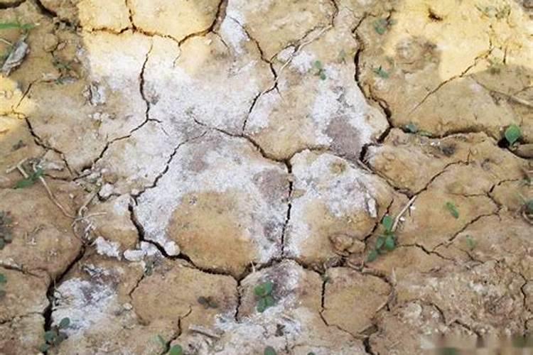 北京市钾肥、氮肥、磷肥、复合肥各多少钱一吨？