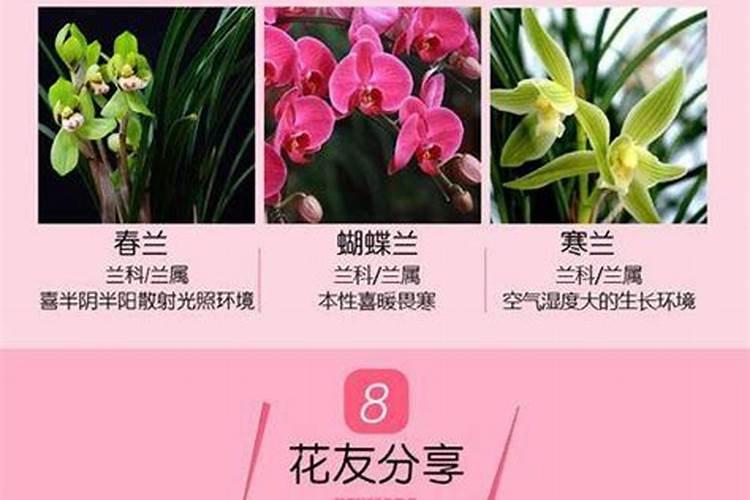 家养君子兰氮磷钾如何采用