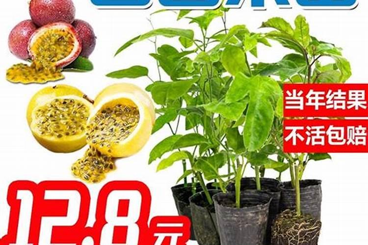 为什么果蔬健水溶肥效果这么好,最近身边很多人都在用,好在哪里？百度...