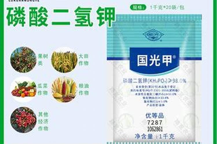 氮肥过多或不足对植物的影响