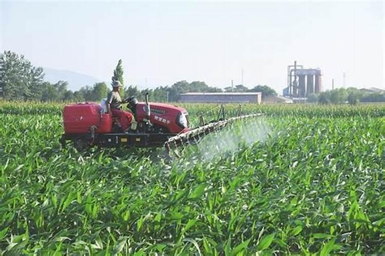 植物缺氮及氮素过多的主要症状是什么？