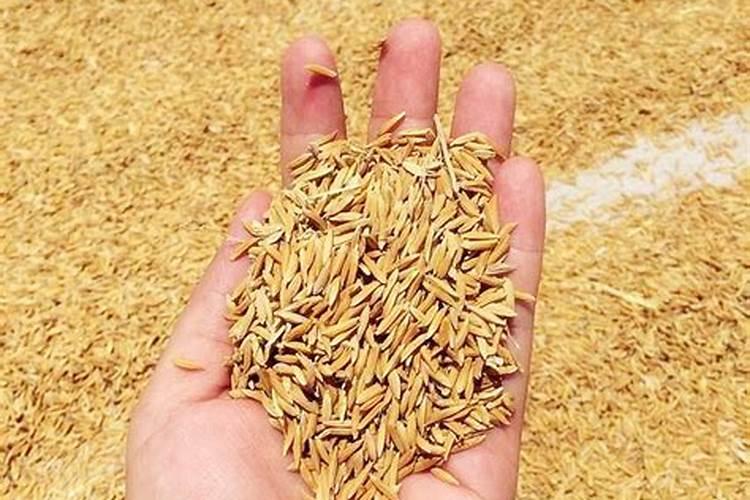 氮磷钾肥的作用是什么