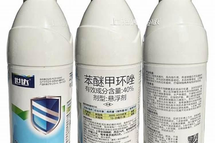 钙肥是什么肥料