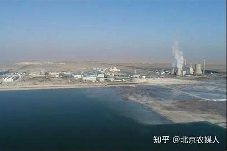 果树专用肥有哪几种