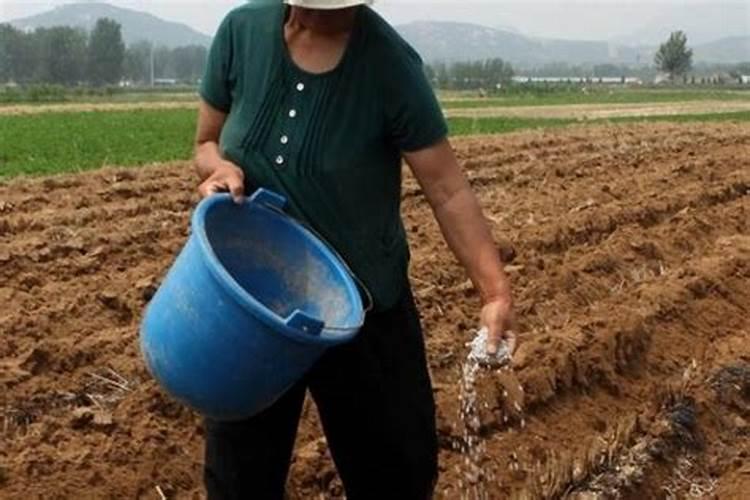泡茶时加入什么,可以去除茶垢