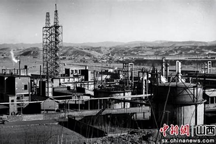 山西阳泉哪里有卖绿植 大的花卉市场？