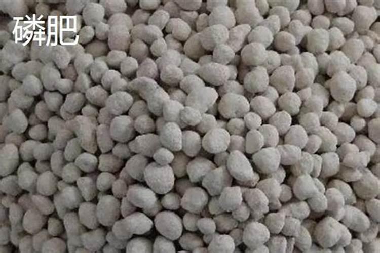 什么肥料磷肥含量高