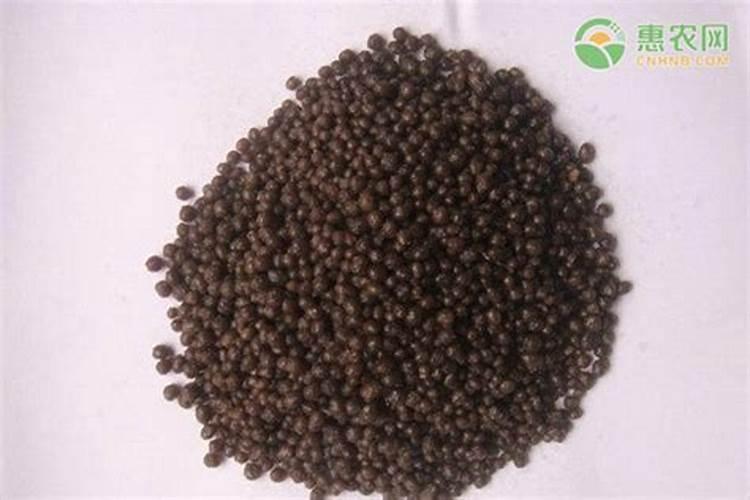 草莓各个时期的施肥方案 什么时候冲高磷肥