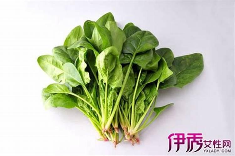 西兰花叶片上有白点,前几天喷过叶面肥,喷后发现有白点？(如图)百度...