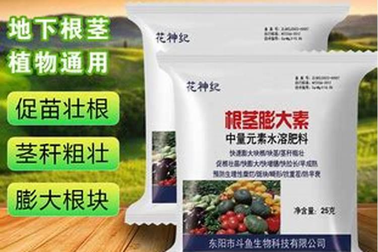 什么复合肥含磷钾高
