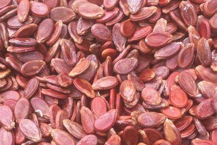 红瓜子的特产在哪里？