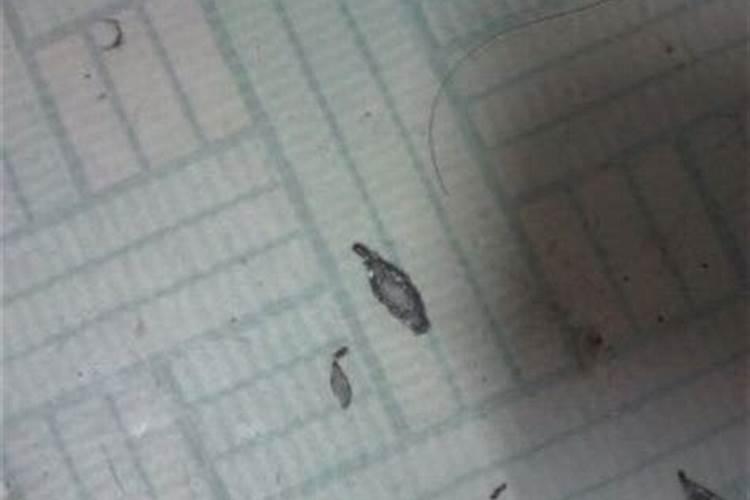 磷肥与水泥的区别