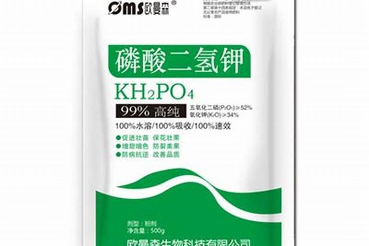 追肥一般用什么肥料