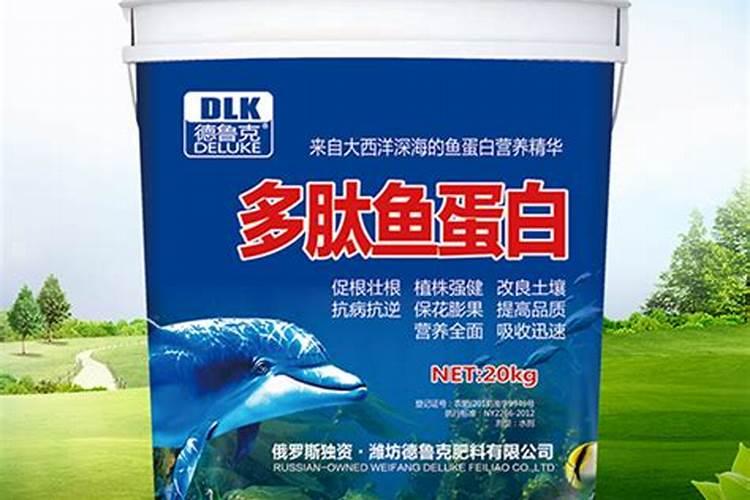 青州海鲜批发市场在哪里