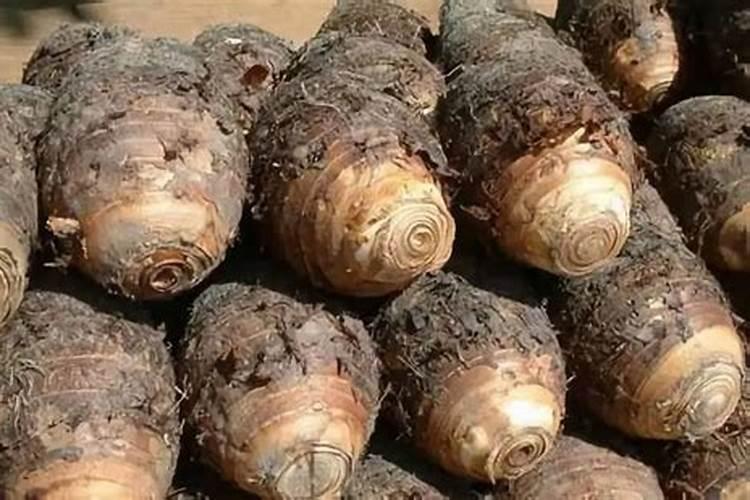 水溶肥配方怎么计算