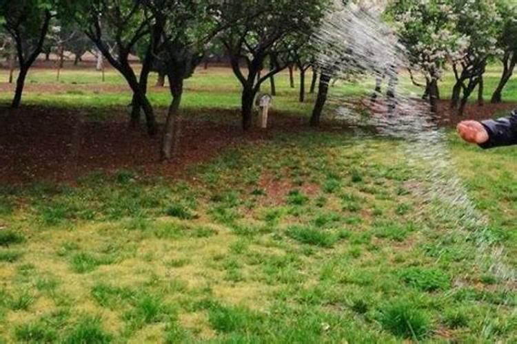 钙镁磷肥的作用及使用方法