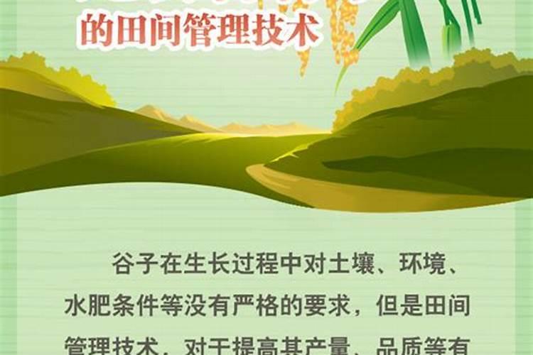 怎样用豆腐渣做肥料