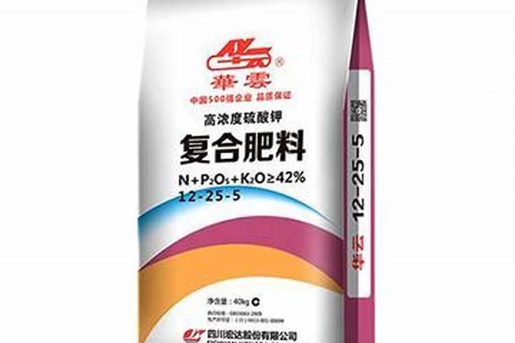 黑花生种植成本与利润