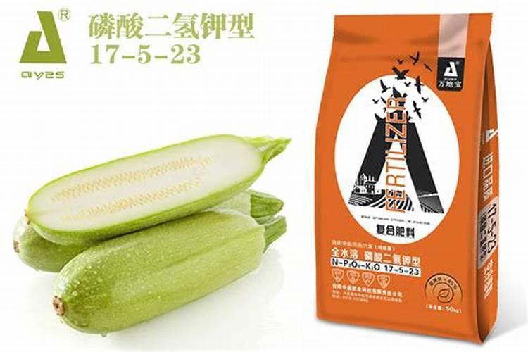西葫芦裂果是什么原因 有哪些解决方法