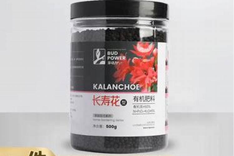 长寿花的养殖方法和注意事项