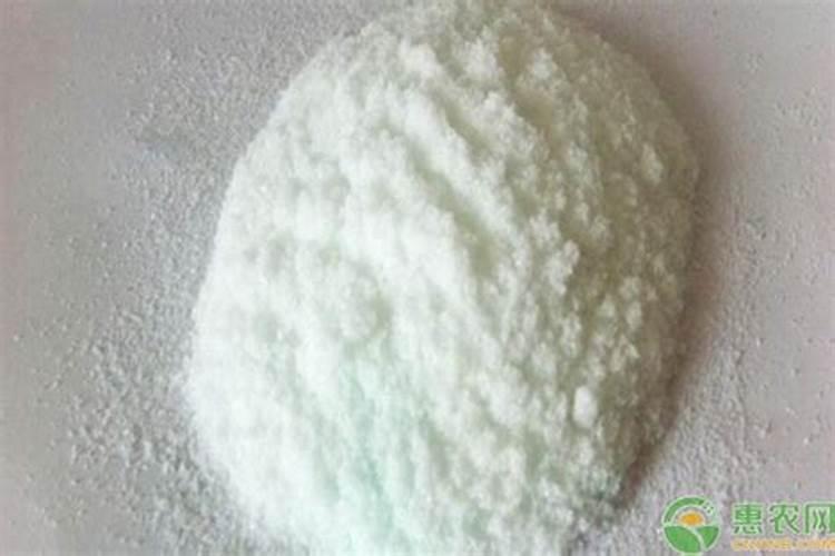 铵态氮适合什么植物吸收