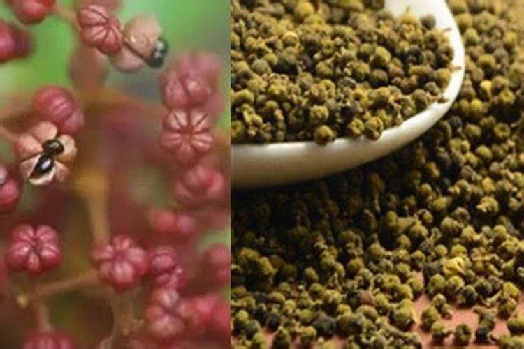 锌肥和硼肥能混合使用吗？