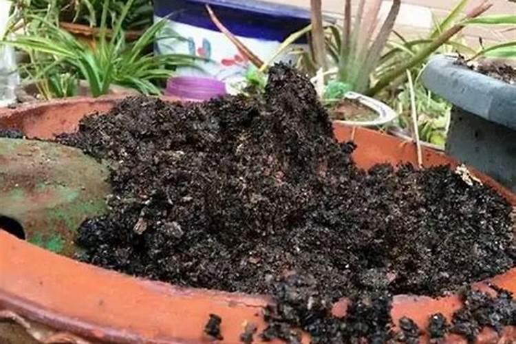 什么是王水偷金