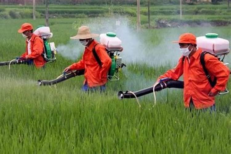 大量元素水溶肥有哪些作用