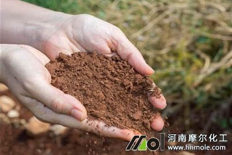 花卉是否可以施用钙镁磷肥？