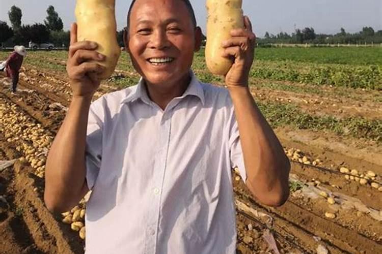 施肥注意事项有哪些？