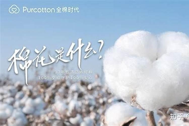 番茄全年营养管理,该如何施肥？