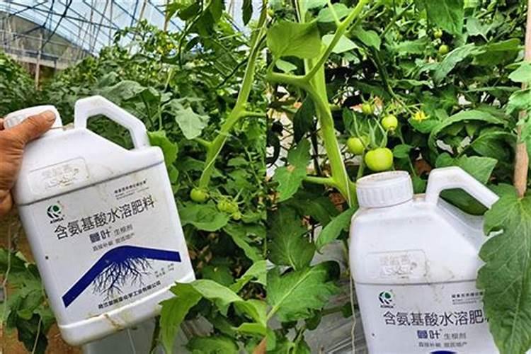 硝酸钾哪家好？