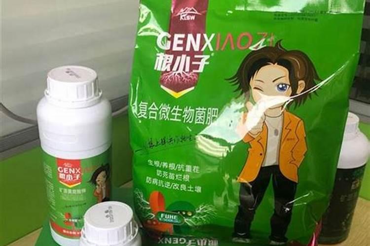 大蒜专用肥中,喜满地的生根效果怎么样？