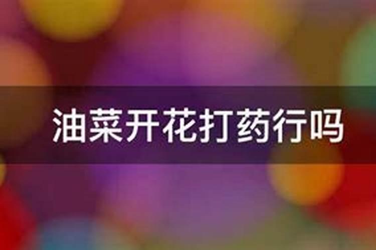 为什么种植油菜要增施硼肥？硼肥的功效有哪些？