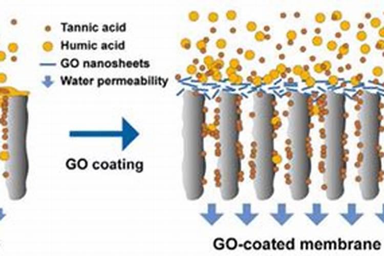 玛格丽特怎么修剪
