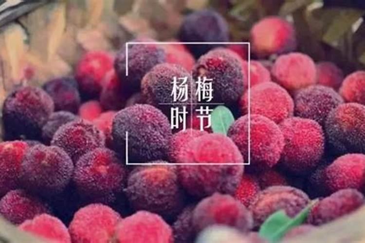 棉花怎么使用叶面肥 棉花施肥方法介绍