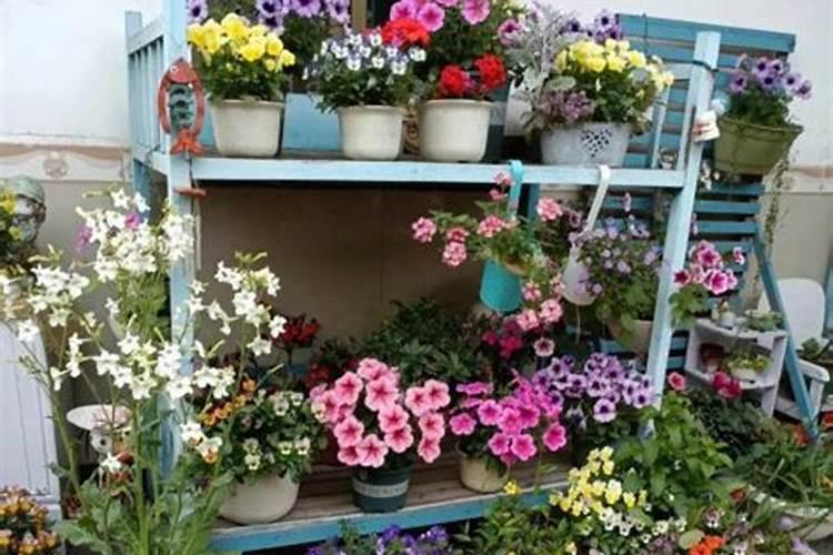 常见的浇花的钾肥和磷肥是什么