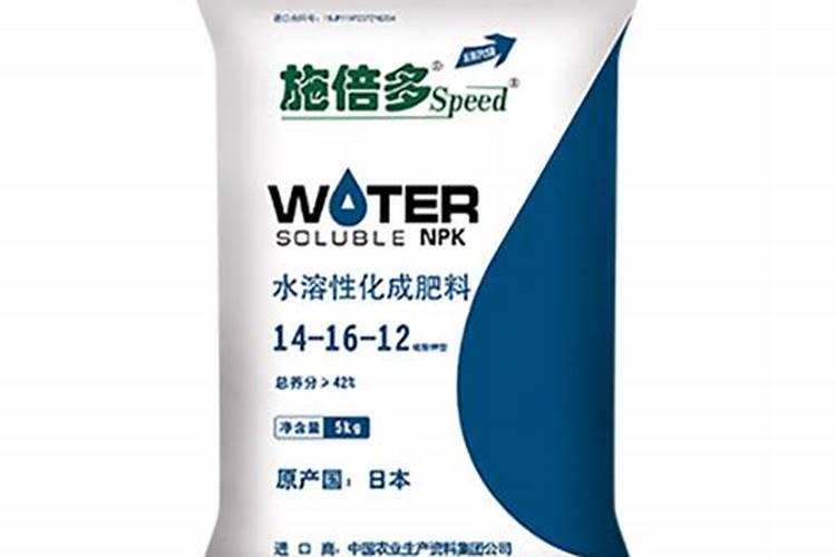 过冬菜花的种植时间及管理技术(越冬花菜什么时候种植)