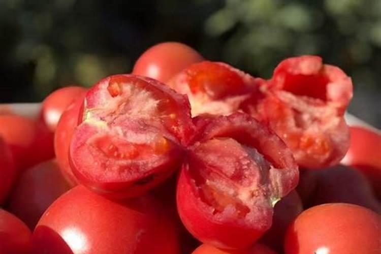 碳铵磷肥混合使用伤葡萄苗吗？