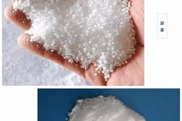 潜叶蝇有什么危害症状？