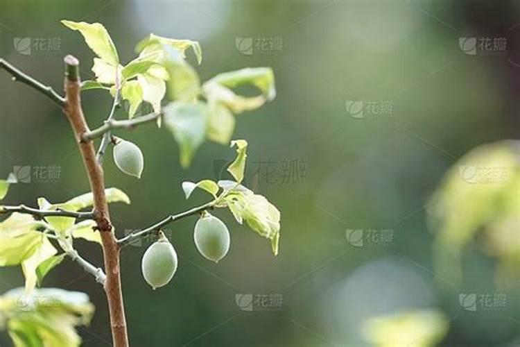 青上化工(青岛)有限公司怎么样？