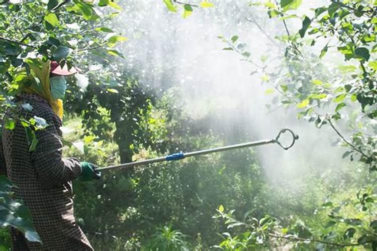 为什么不能中午打叶面肥 叶面肥使用方法