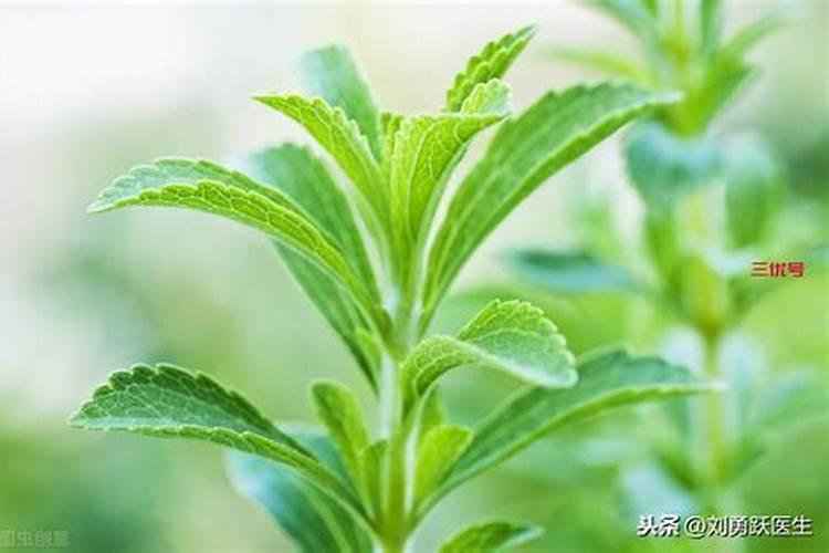 钾肥的作用及功能是什么