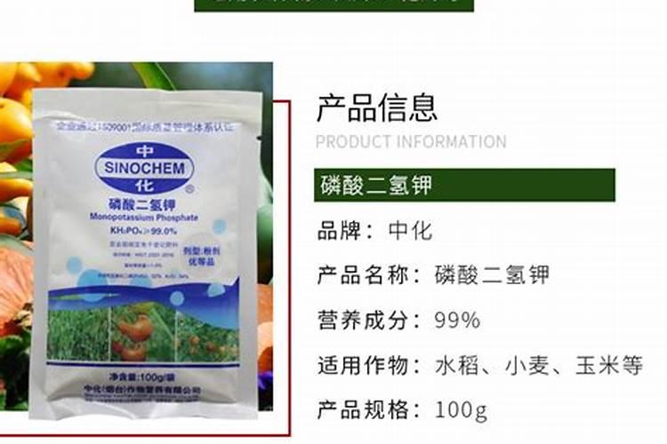 杜鹃花施什么肥合适