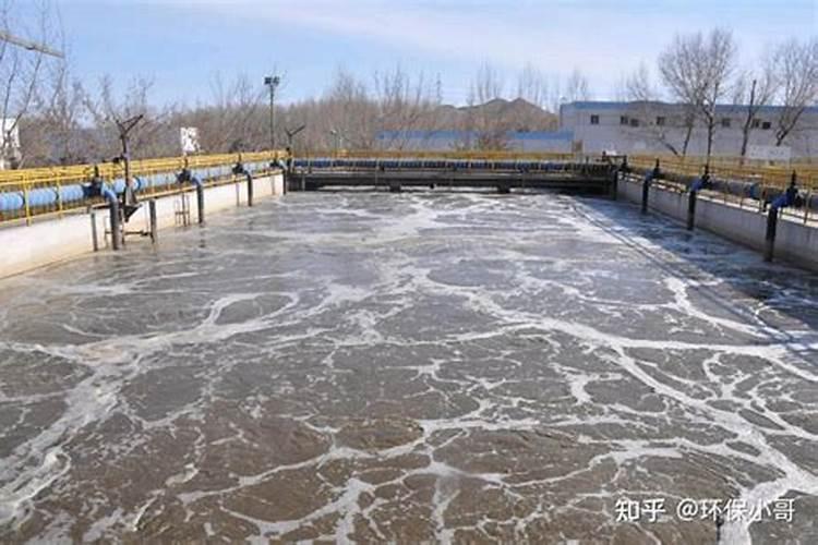 樱桃苗木的施肥追肥要注意事项