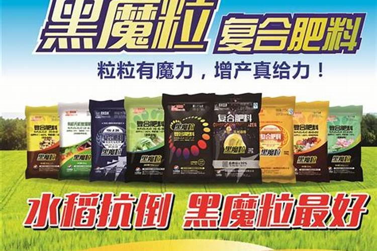 玉米下边的叶片为什么黄了？